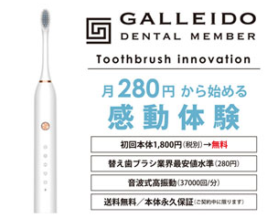 ガレイド 歯ブラシ 販売店